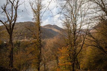 Landscape with beautiful fog in forest on hill or Trail through a mysterious winter forest with autumn leaves on the ground. Road through a winter forest. Magical atmosphere. Azerbaijan nature