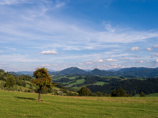 Fototapeta premium Sommerlandschaft im Mostviertel, Niederösterreich