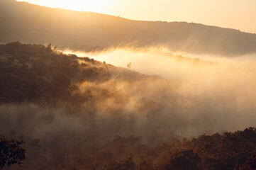Landscape scenery of sunrise. Foggy atmosphere with sun rise light rays on the fog and it shines like golden colored rays on it in hilly range with forest on it.