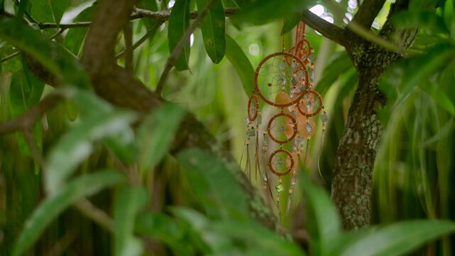 Slepping net on the tree. Wedding decoration with wooden dreamcatcher.