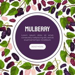 Mulberry Banner Design with Garden Fruit Growing Vector Template