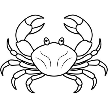 recommend clip art: Cartoon Crab Vector Illustration Marine Life Outline Drawing Kids Coloring Book Educational Art