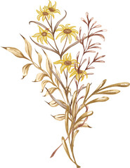 Dried bouquet. Forest watercolor illustration. Hand-drawn dried leaves, flowers, wild herbs. Woodland