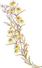 Naklejka premium Dried bouquet. Forest watercolor illustration. Hand-drawn dried leaves, flowers, wild herbs. Woodland