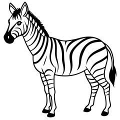 Black and White Zebra Vector Illustration Wild Animal Outline African Savannah Wildlife Art