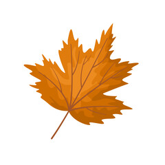 Illustration of Maple Leaf icon. Autumn maple leaf vector symbol.