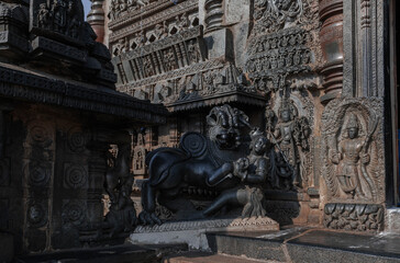 Obraz premium Tiny and intricate carvings, sculptures of the temples of the Hoysala Empire. Belur. India.