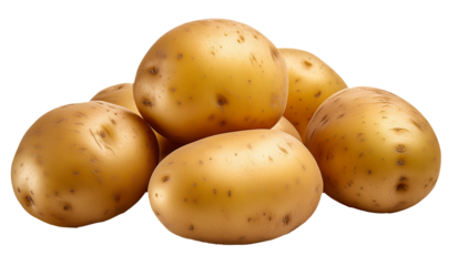 Group of Fresh Potatoes with Speckled Skin on a Transparent Background