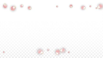 Pink Vector Realistic Petals Falling on Transparent Background. Spring Romantic Flowers Illustration. Flying Petals. Sakura Spa Design. Blossom Confetti. Design Elements for Poster Design.