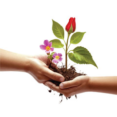 A hand holding a red rose flower symbolizing the concept of saving our mother earth isolated on white vector illustrator 