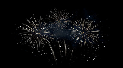 Vibrant Realistic Fireworks in Vector Art