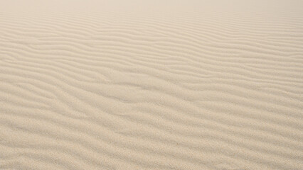 desert sand with small waves