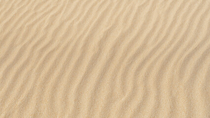Fototapeta premium sand ripples in the sand