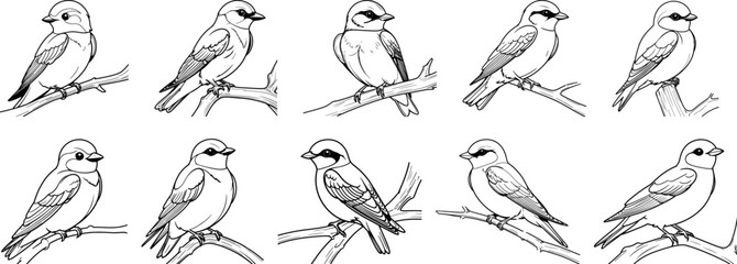 Naklejka premium Tree swallow Bird hand drawing coloring page and outline vector design