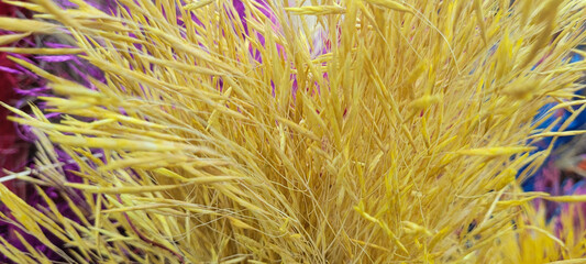 natural vibrant green vegetation background