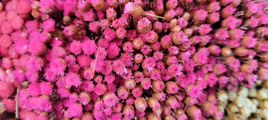 dried colorful flowers together in a bouquet