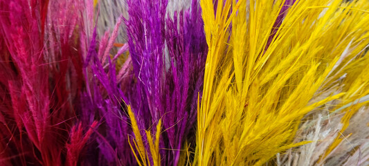 dried colorful flowers together in a bouquet