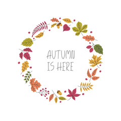 Falling Autumn leaves circle border Frame. Doodle Autumnal colors oak maple Leaf background. Cute Abstract foliage illustration. Template for social media, card, invitation, flyer, banner, poster