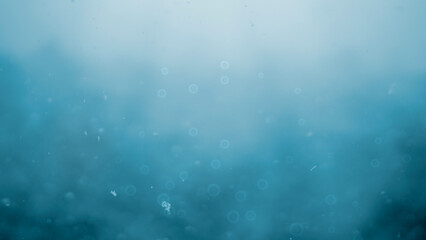 Obraz premium Underwater scene as background. Teal blue clear water undersea with light rays coming through water surface.