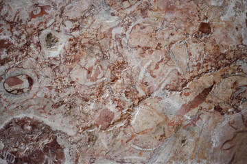 rustyantic old  orange brown marble texture