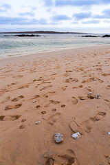 footprints on the beach