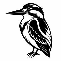 kingfisher