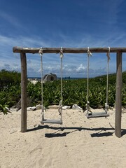 swing on the beach