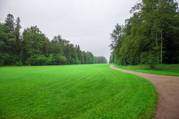 A grassy field with a path running through it