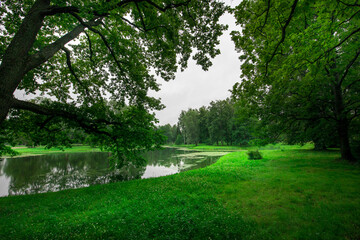 A lush green park with a pond and trees