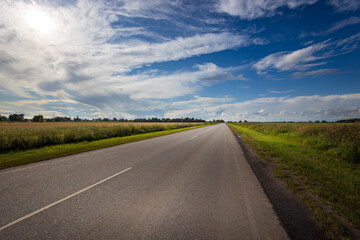 A solitary road stretches through vibrant green fields, illuminated by the sun beneath a vast blue sky adorned with fluffy white clouds.