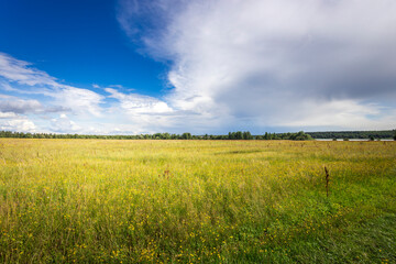 Golden grasses dance in a gentle breeze beneath a vast sky filled with dramatic clouds and soft sunlight, creating a tranquil and picturesque landscape.