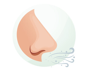 Human Nose - Smell and Breathe - Stock Illustration