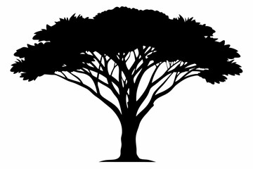 Acacia tree black silhouette illustration