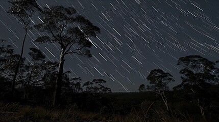 A starry night sky with a tree in the foreground