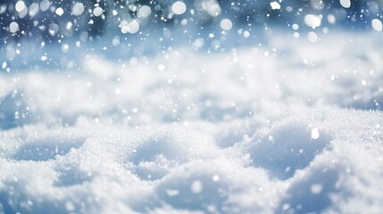 Fototapeta premium Snowy Winter Scene