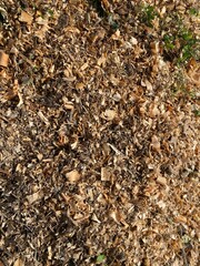Sawdust