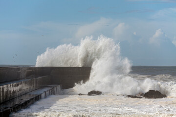 Stormy wave splash against sunny blue sky