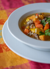 Traditional Chilean Cazuela de carne, a hearty meat stew with potato, corn, pumpkin, carrot, onion, and rice.