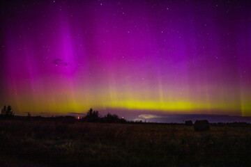 northern lights purple sky at night, red sky