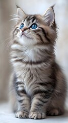Adorable kitten with fluffy fur and striking blue eyes, looking upward, detailed fur patterns and delicate whiskers, soft light highlights the kitten's gentle and curious expression