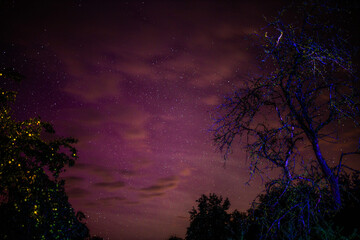 northern lights purple sky at night, red sky