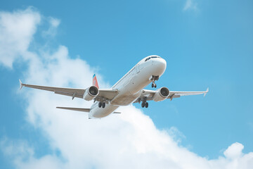 Obraz premium airplane in flight