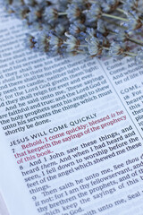Biblical verses for Jesus Christ's second coming in open holy bible book with lavender. Close-up....