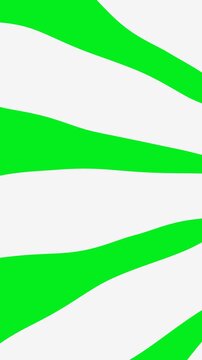 Dynamic Abstract Line Pattern Looping Animation with Colorful Transition Background
