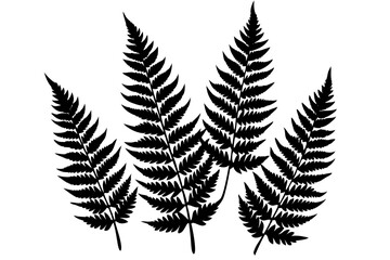 A pack of fern leaf silhouettes vector illustration