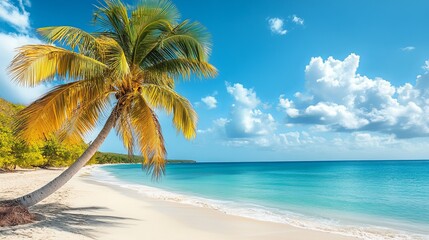 Obraz premium Sunny beach with palm trees and clear turquoise water in the afternoon