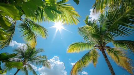 Fototapeta premium Bright sunlight shines through palm trees on a clear tropical day