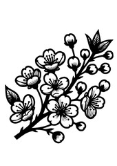 Flowers SVG, Daisy SVG, Rose SVG, Peony SVG, Lily SVG, Floral SVG, Nature SVG, Plant SVG, Blossom SVG, Flowers Silhouette, Flowers Design, Bouquet SVG, Cut file for Cricut SVG, JPG, PNG