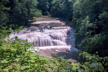 Serene waterfall surrounded by lush greenery in a forest setting in Nashville