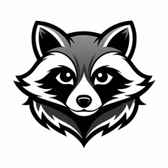 raccoon